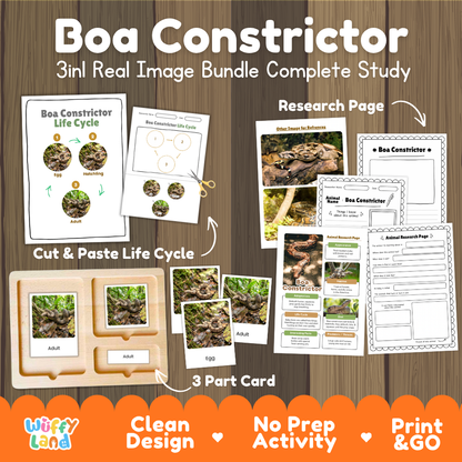 Boa constrictor 3-in-1 real image bundle complete study cover showing cut and paste life cycle, 3 part cards, and research pages