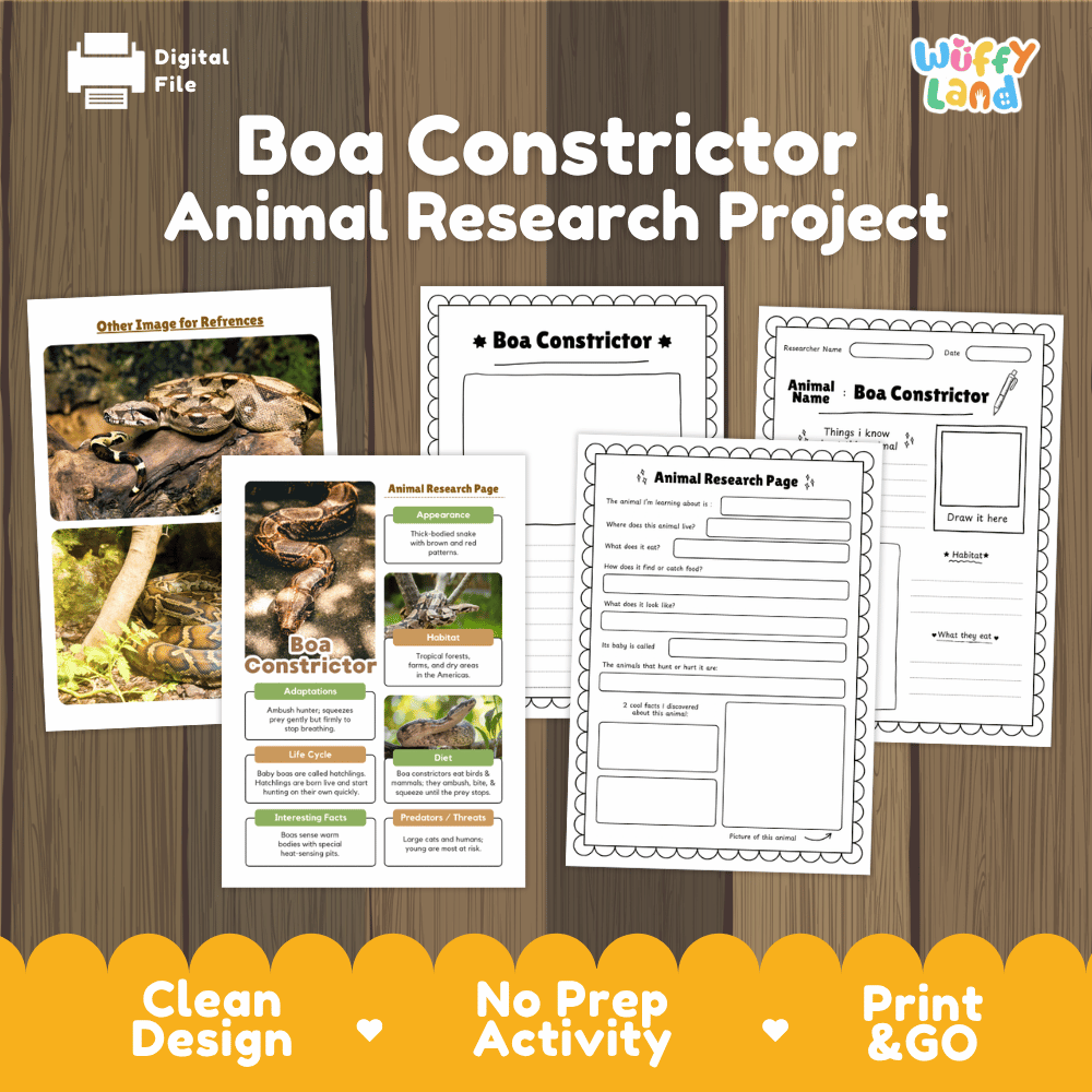 Digital download activity sheet set titled 'Boa Constrictor Animal Research Project' on a wood background, showing printed worksheet pages and a research poster. The brand 'Wiffy Land' appears in the top right.