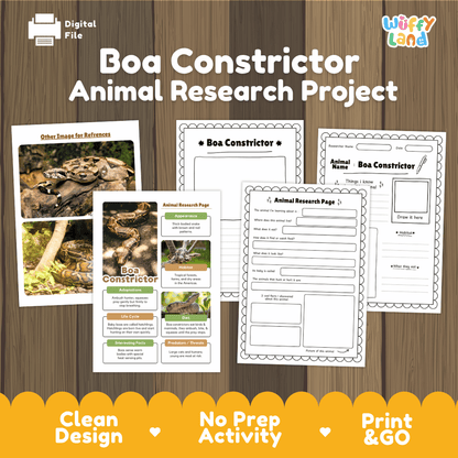 Digital download activity sheet set titled 'Boa Constrictor Animal Research Project' on a wood background, showing printed worksheet pages and a research poster. The brand 'Wiffy Land' appears in the top right.