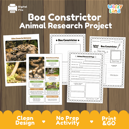 Digital download activity sheet set titled 'Boa Constrictor Animal Research Project' on a wood background, showing printed worksheet pages and a research poster. The brand 'Wiffy Land' appears in the top right.
