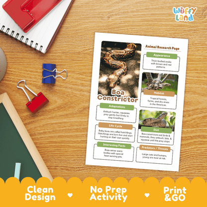 An educational activity sheet titled 'Animal Research Page' about a Boa Constrictor, displayed on a wooden desk with a yellow 'Clean Design No Prep Activity Print & GO' banner at the bottom. The sheet features a white background with colorful green, orange, and brown text boxes, a photo of a snake, and a 'Wiffly land' brand logo in the top right corner.