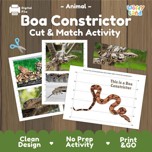 Boa Constrictor Cut and Match Activity Worksheets | Reptile Animal Puzzle Printables