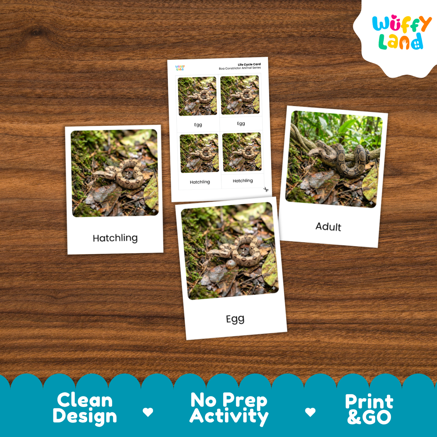 Snakes educational activity cards displayed on a wooden surface, featuring polaroid-style images labeled Hatchling, Egg, and Adult, with a central card showing four eggs labeled with snake names. A 'Wuffy Land' logo is visible in the top right, and a blue banner at the bottom highlights 'Clean Design', 'No Prep Activity', and 'Print & GO'.