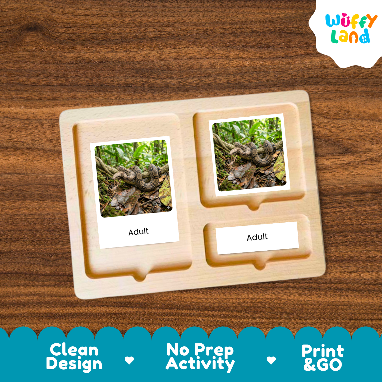 A wooden activity board with two photo slots displaying images of a coiled snake labeled 'Adult' on white cards, placed on a brown wood surface. The 'Wuffy Land' logo appears in the top right, and a blue promotional banner at the bottom reads 'Clean Design', 'No Prep Activity', and 'Print & GO'.