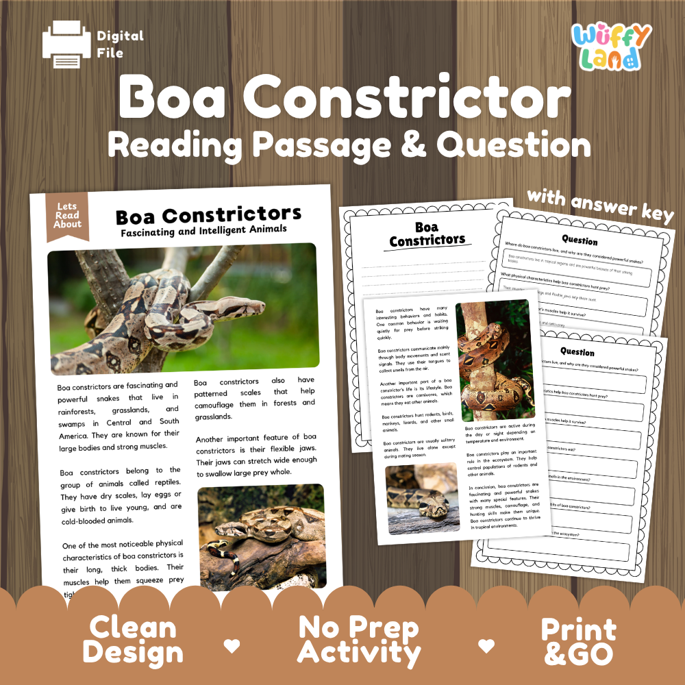 Boa Constrictor Reading Passage & Question digital activity bundle by Wiffly Land, featuring a wooden background with three sample pages: a reading passage, a worksheet with answer key, and a question page. Promotional text at the bottom reads 'Clean Design', 'No Prep Activity', and 'Print & GO'.