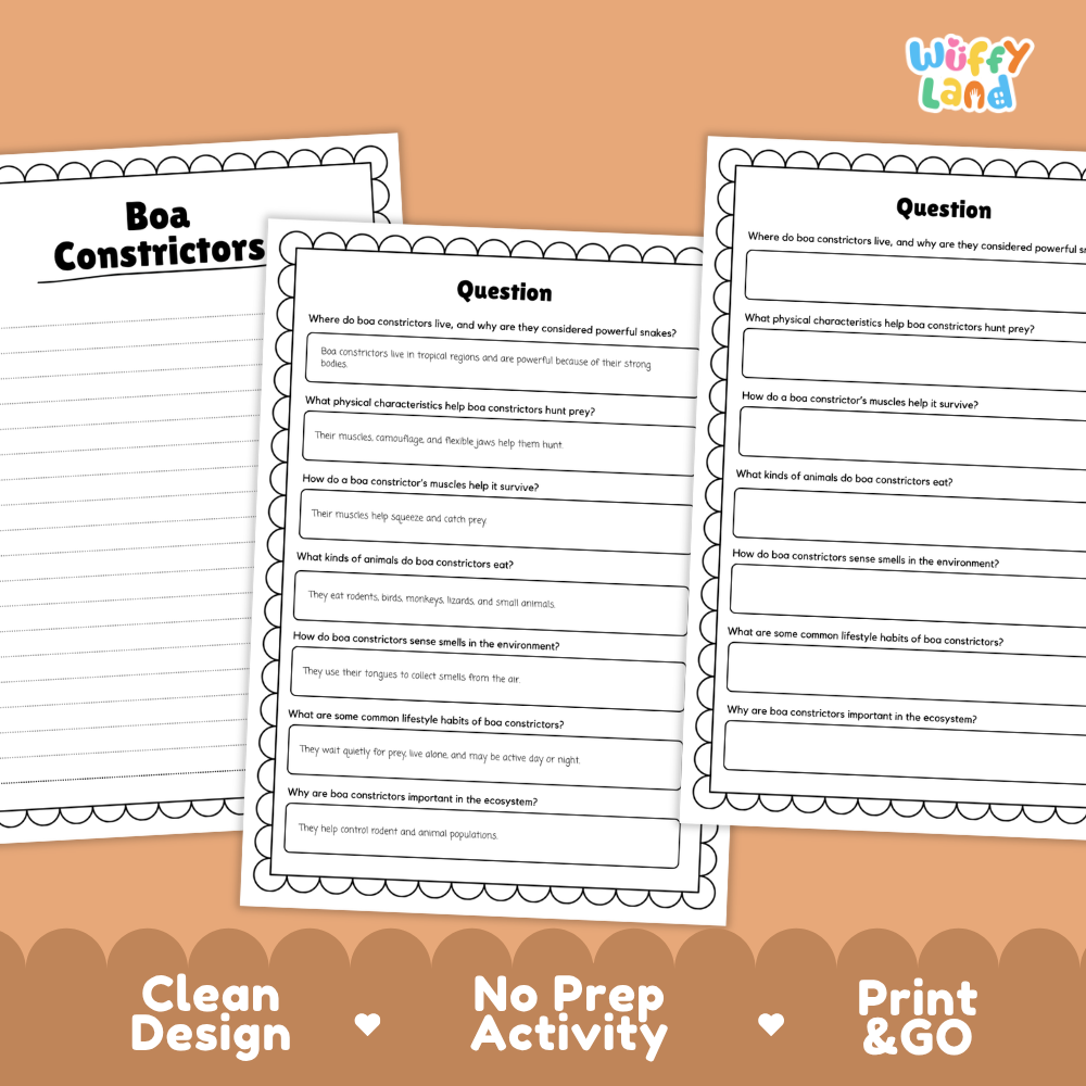 Boa Constrictor Reading Passage and Comprehension Questions with Answer Key Worksheets
