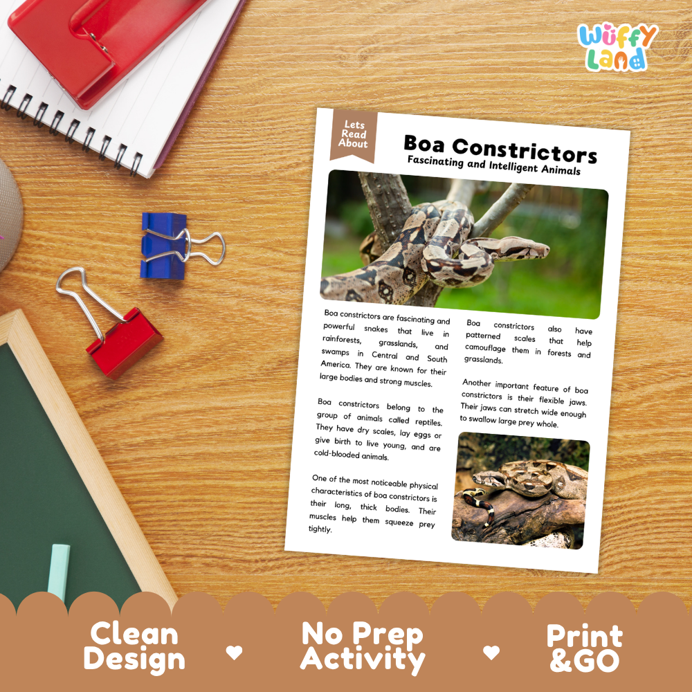 An educational reading activity sheet about 'Boa Constrictors' is displayed on a wooden desk alongside a red notebook, a blue binder clip, and a red folder. The sheet features a title, a main text body, two photos of box turtles, and a 'Lets Read About' header.