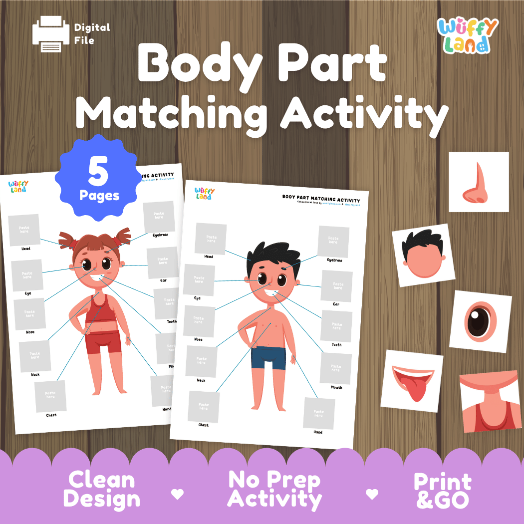Body Part Matching Activity