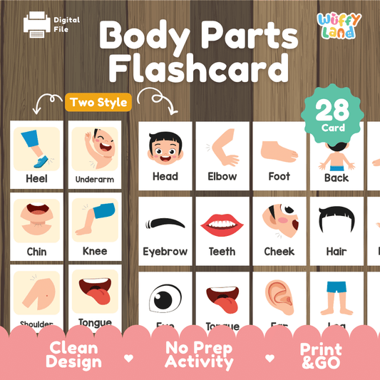Body Parts Cards