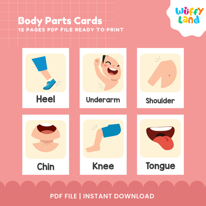 Body Parts Cards