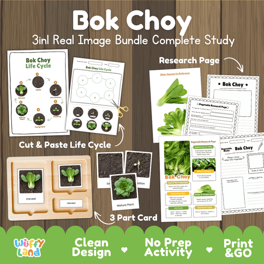 Bok choy 3in1 real image bundle complete study printable featuring life cycle cut and paste worksheets, Montessori 3-part cards, and research pages