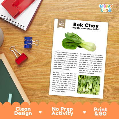 Student reading comprehension worksheet with short-answer questions and lined sections about bok choy vegetables
