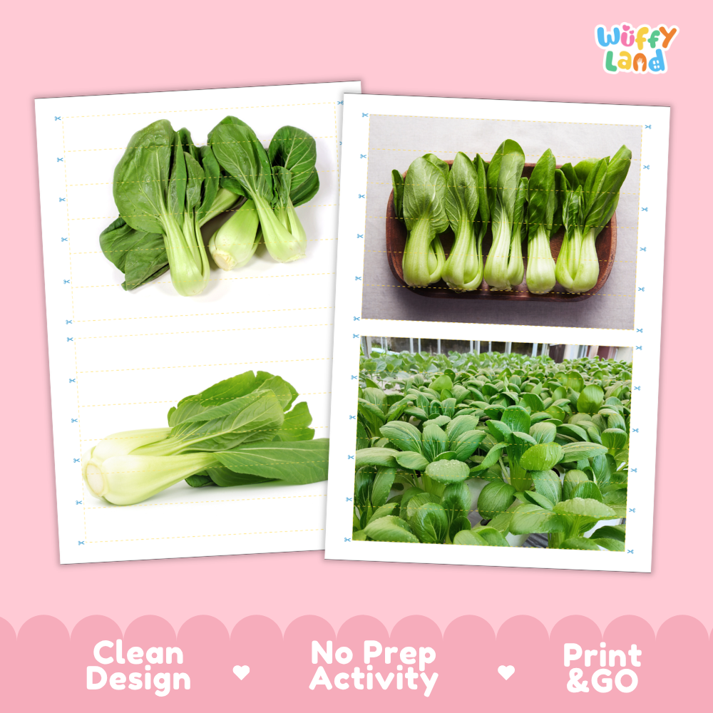 Printable activity sheets featuring photographic bok choy puzzle boards and cutting guides