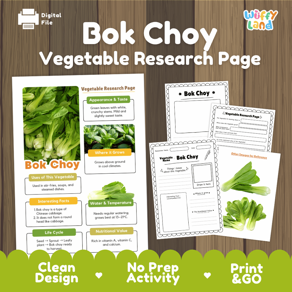 Bok Choy Vegetable Research Page Worksheets