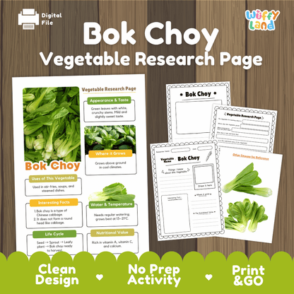 Bok Choy Vegetable Research Page Worksheets