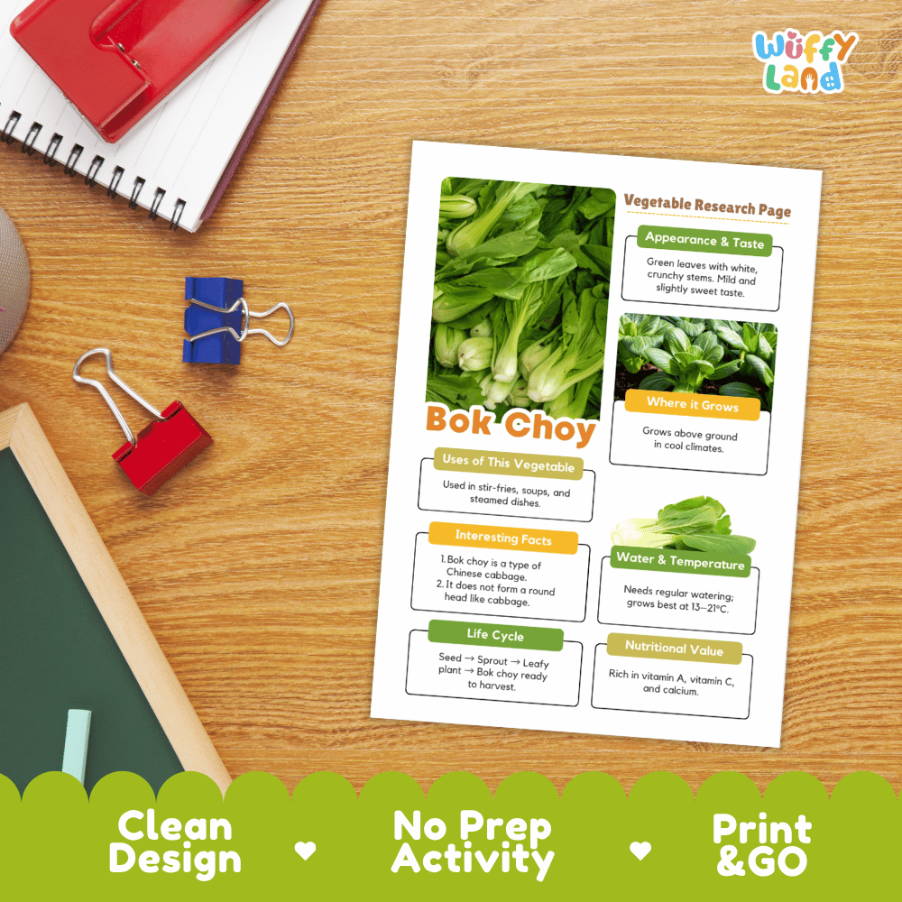 Bok Choy Vegetable Research Page Worksheets