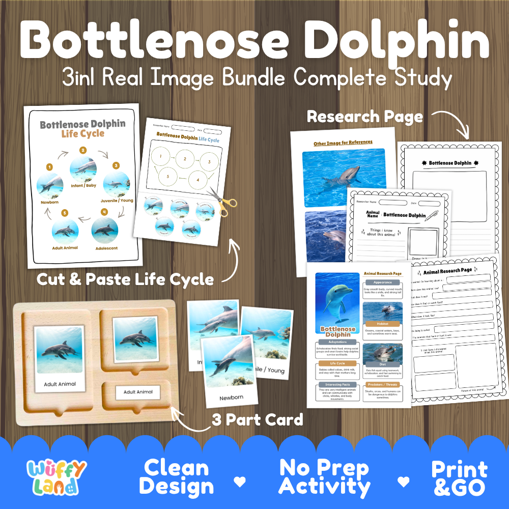 Bottlenose dolphin 3-in-1 real image bundle complete study cover showing cut and paste life cycle, 3 part cards, and research pages