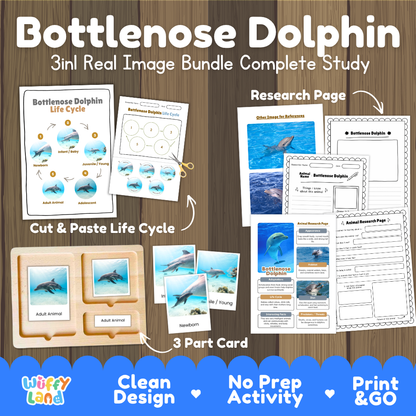 Bottlenose dolphin 3-in-1 real image bundle complete study cover showing cut and paste life cycle, 3 part cards, and research pages