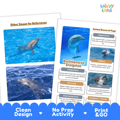 Bottlenose Dolphin Animal Research Project Worksheets and Fact Sheet Activity