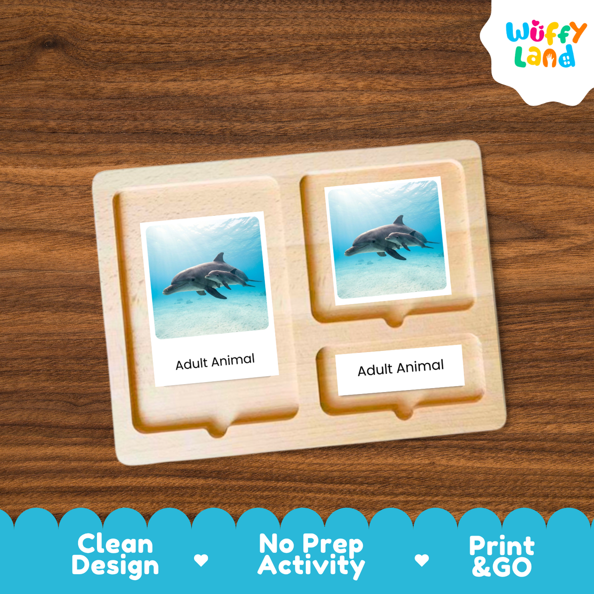 Bottlenose Dolphin Life Cycle Flashcards - Montessori 3 Part Cards Printable Activity
