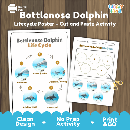 Bottlenose Dolphin Life Cycle Poster and Cut and Paste Worksheet Activity