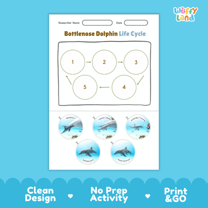 Bottlenose Dolphin Life Cycle Poster and Cut and Paste Worksheet Activity