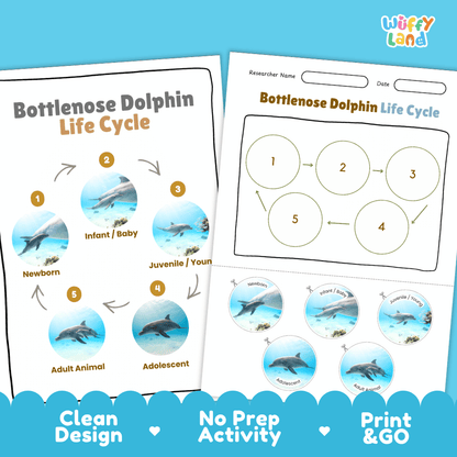 Bottlenose Dolphin Life Cycle Poster and Cut and Paste Worksheet Activity