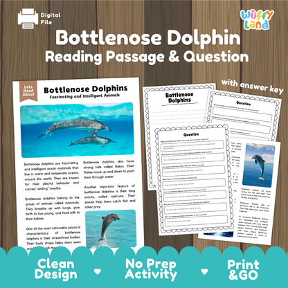 Bottlenose Dolphin Reading Passage and Comprehension Questions with Answer Key Worksheets