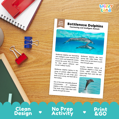 An educational activity sheet about Bottlenose Dolphins laid flat on a wooden desk, surrounded by stationery props like a red notebook, binder clips, and a blue pen. The sheet has a white background with blue and green accents, featuring a dolphin photo and text.