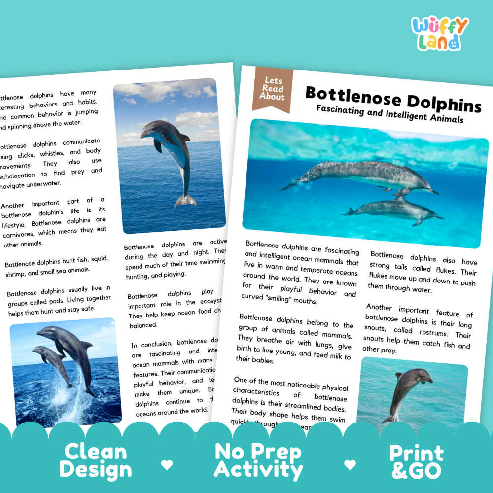 Two printed educational activity sheets about bottlenose dolphins, shown on a white background with the title 'Bottlenose Dolphins' and a small blue dolphin photo on the left sheet. The sheets have a playful design with text, images, and decorative elements, and the brand name 'Wuffly Land' appears in the top right corner.
