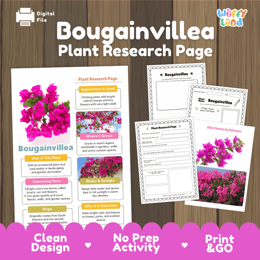 Student plant research page writing worksheets with real close up pink bougainvillea bracts and garden shrub photos, lined note-taking prompts, and drawing frames