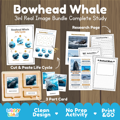 Bowhead Whale 3-in-1 real image bundle complete study cover showing cut and paste life cycle, 3 part cards, and research pages