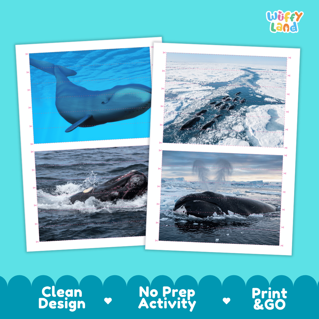 Bowhead Whale Cut and Match Activity Printables Worksheets