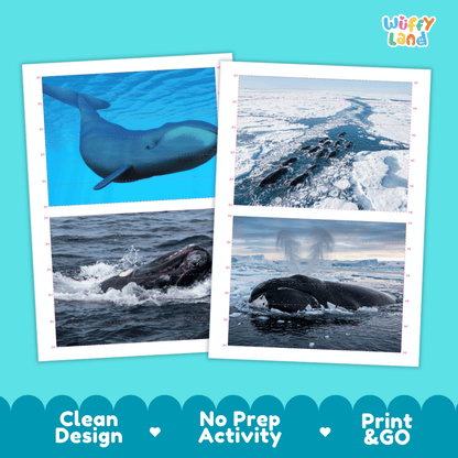 Bowhead Whale Cut and Match Activity Printables Worksheets