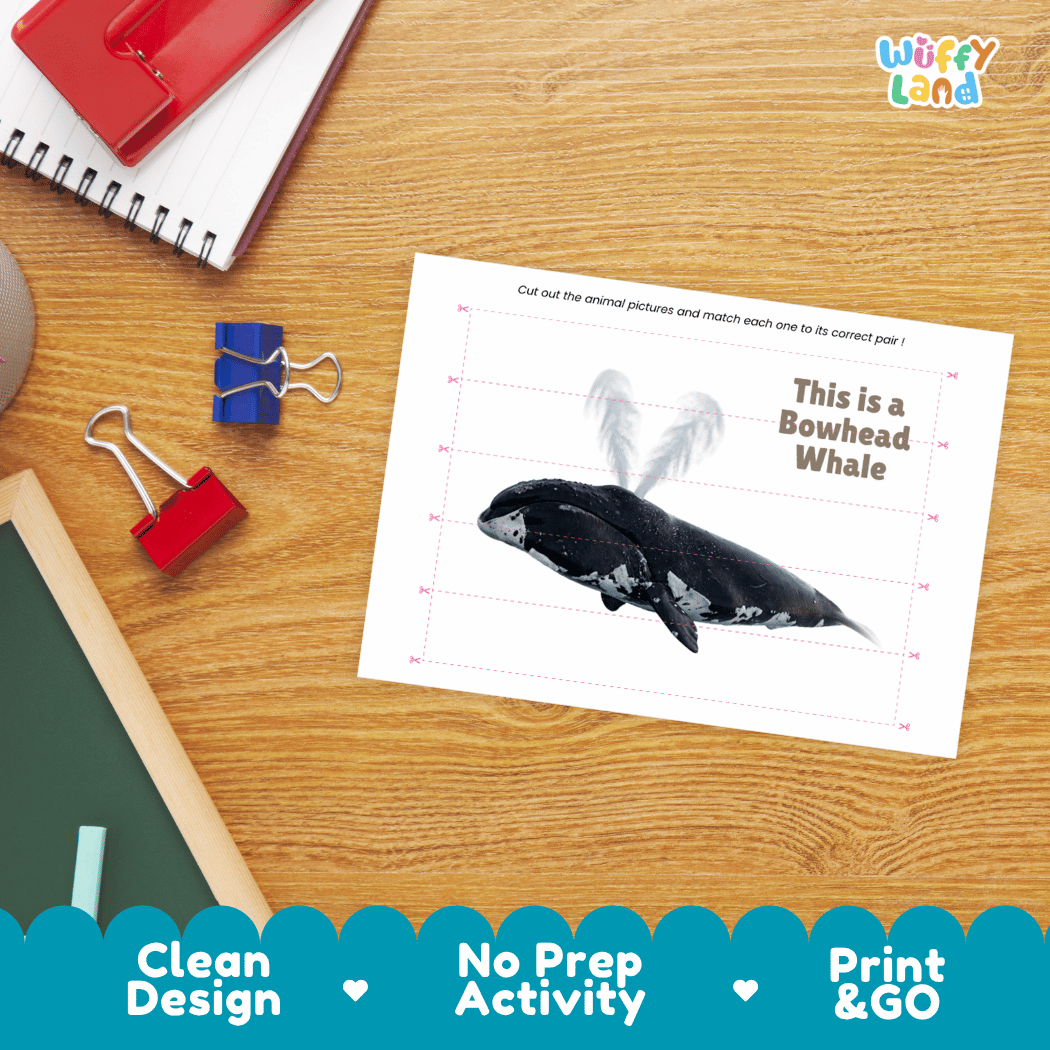 Bowhead Whale Cut and Match Activity Printables Worksheets