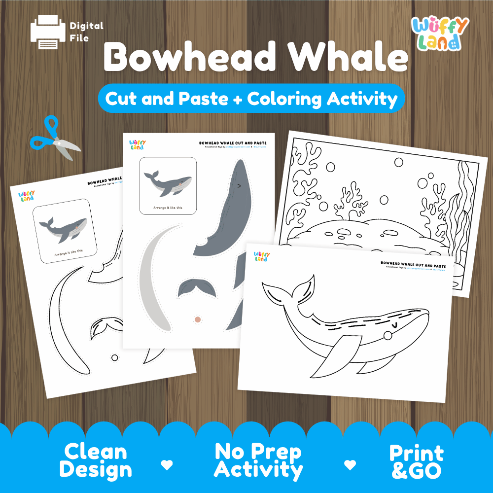 Bowhead Whale Cut and Paste Craft and Coloring Activity Worksheets