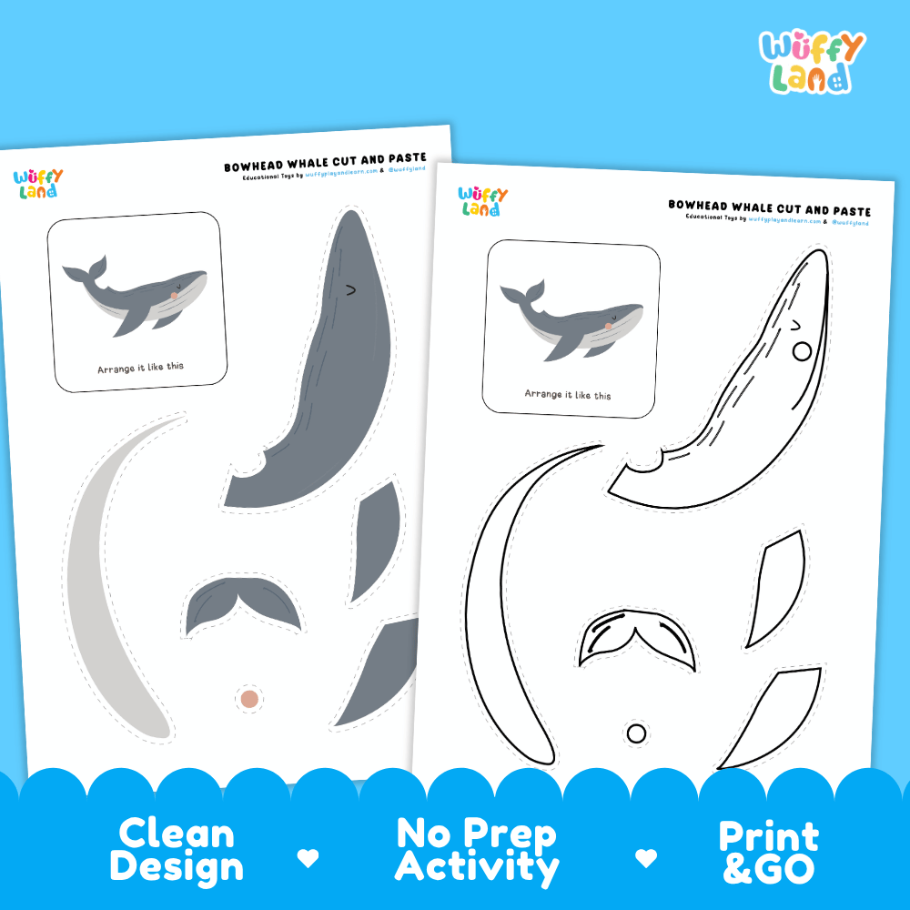 Bowhead Whale Cut and Paste Craft and Coloring Activity Worksheets
