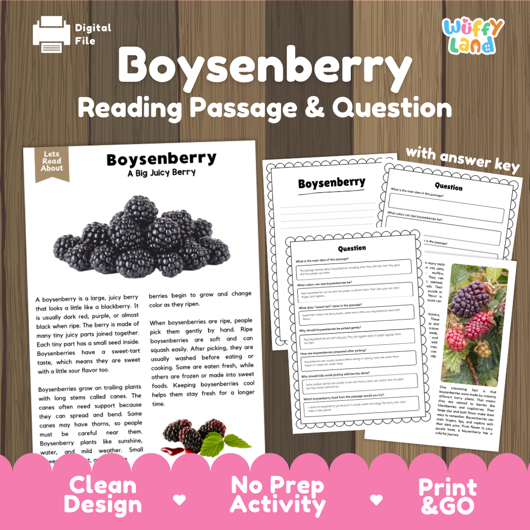 Boysenberry reading comprehension passage and questions printable activity pack with answer key for elementary students