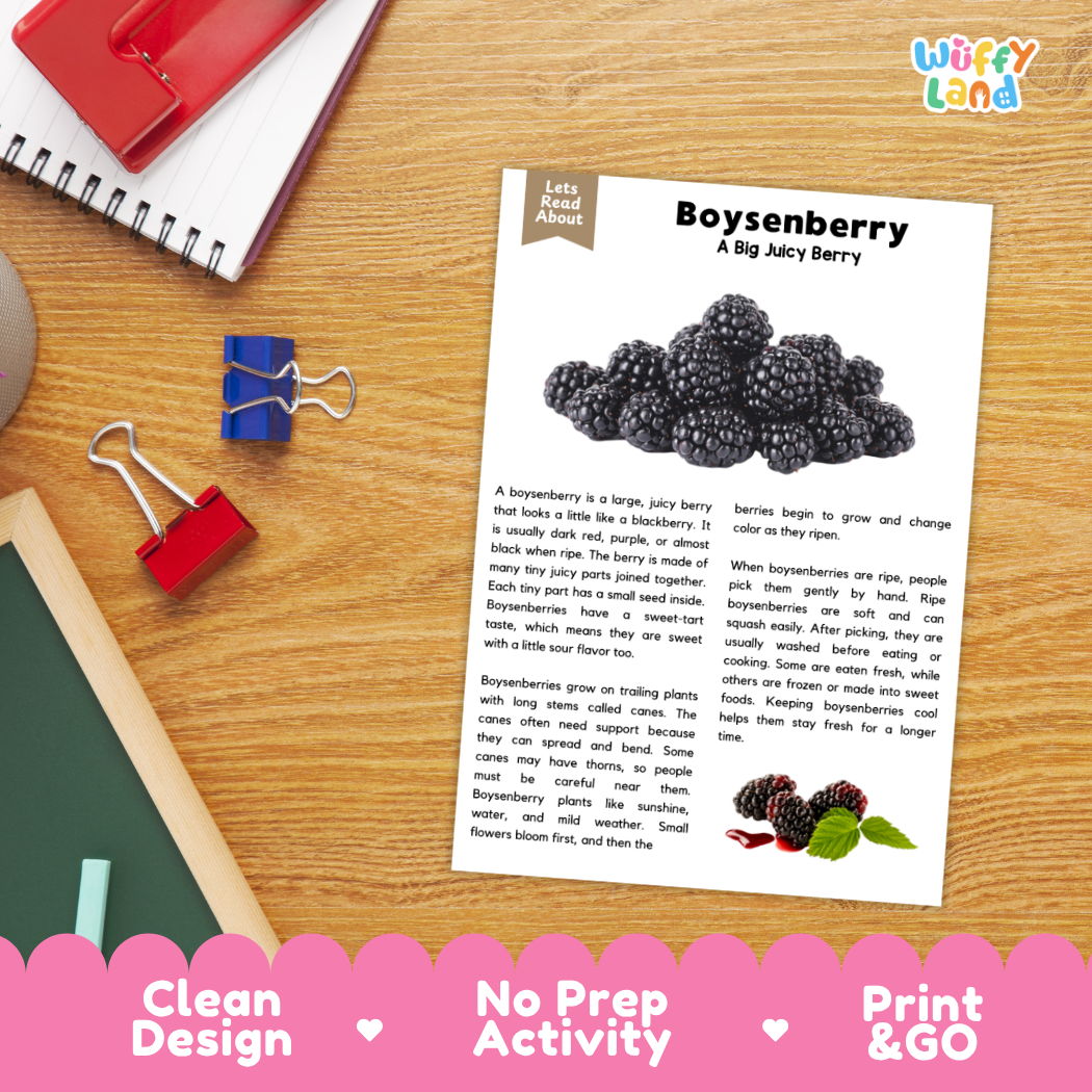 Student reading comprehension worksheet with short-answer questions and lined sections about boysenberries