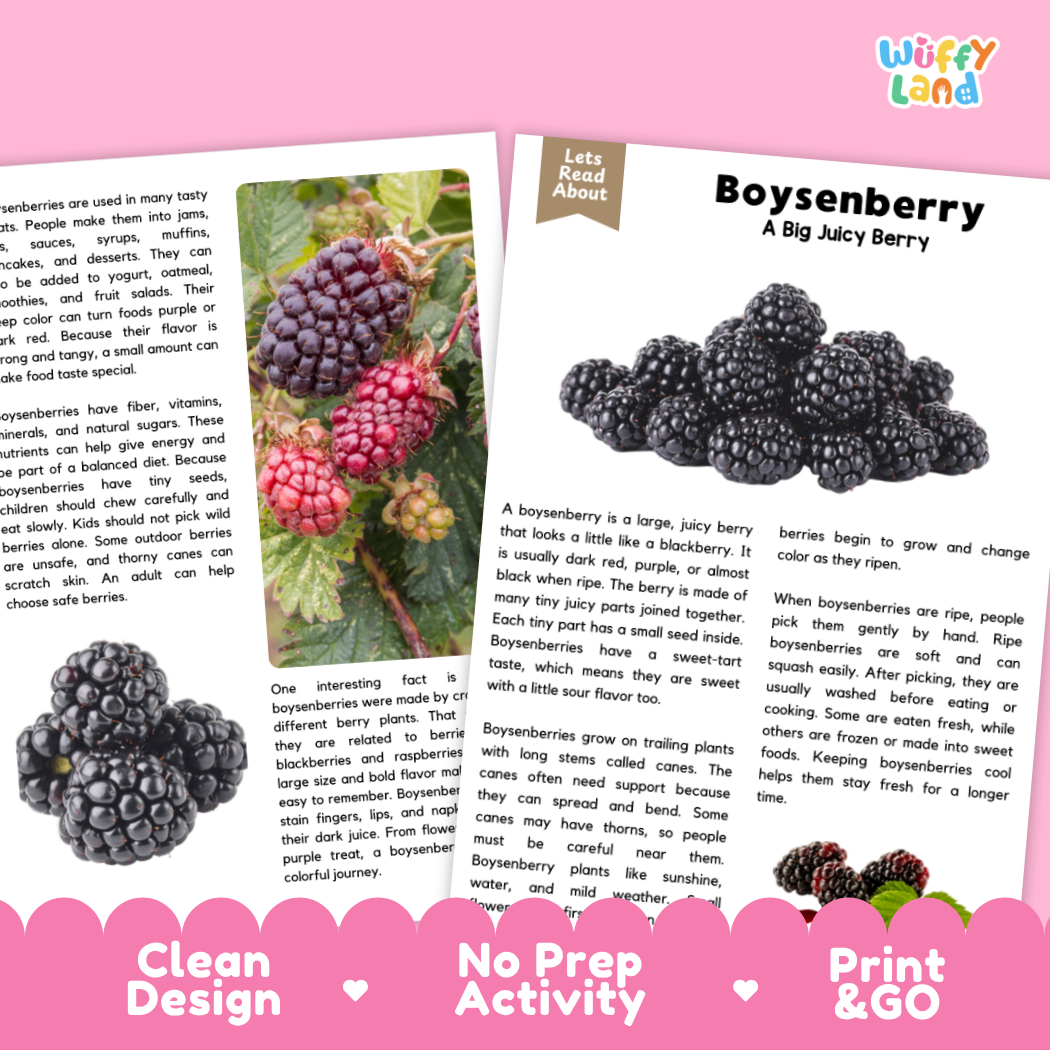 Teacher answer key page showing complete question solutions for boysenberry reading comprehension practice