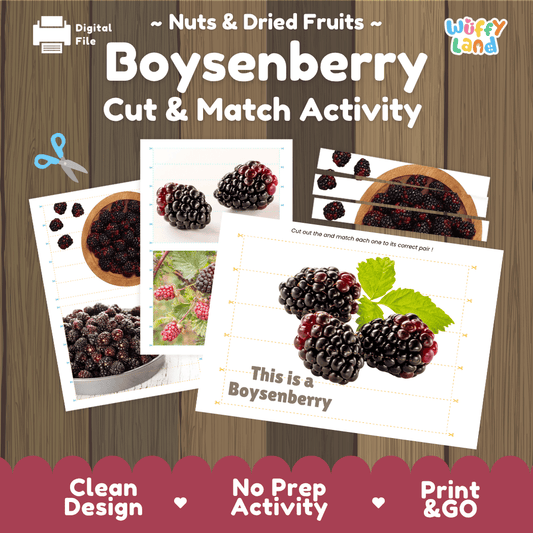 Boysenberry Cut and Match Activity Worksheets | Nuts and Dried Fruits Puzzle Printables
