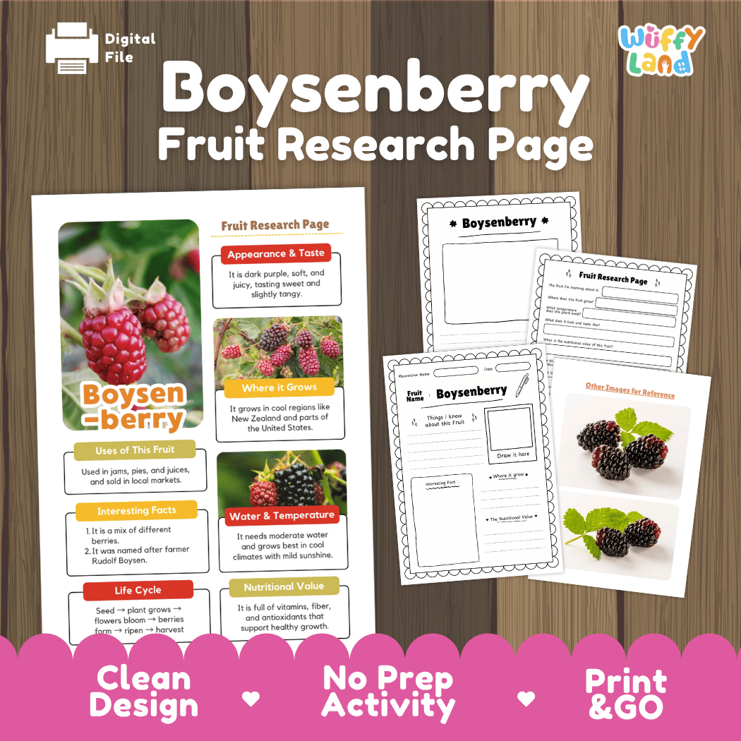 Boysenberry Fruit Research Page Worksheets and Fact Sheet