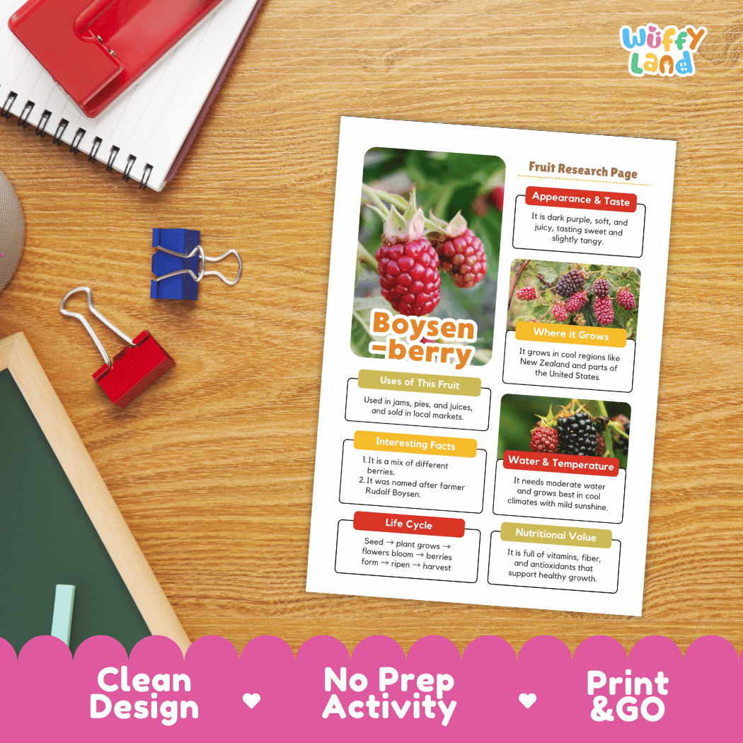 Boysenberry Fruit Research Page Worksheets and Fact Sheet