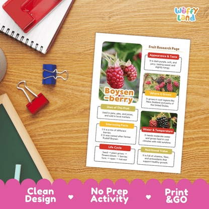 Boysenberry Fruit Research Page Worksheets and Fact Sheet