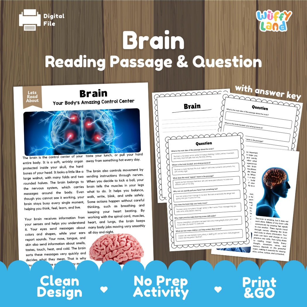 Brain reading comprehension passage and questions printable activity pack with answer key for elementary students