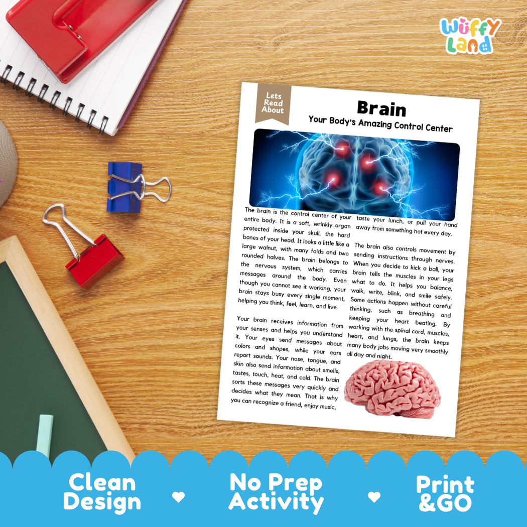 Student reading comprehension worksheet with short-answer questions and lined sections about the human brain