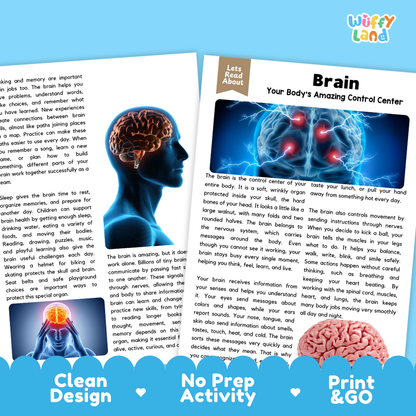 Teacher answer key page showing complete question solutions for Brain human body reading comprehension practice