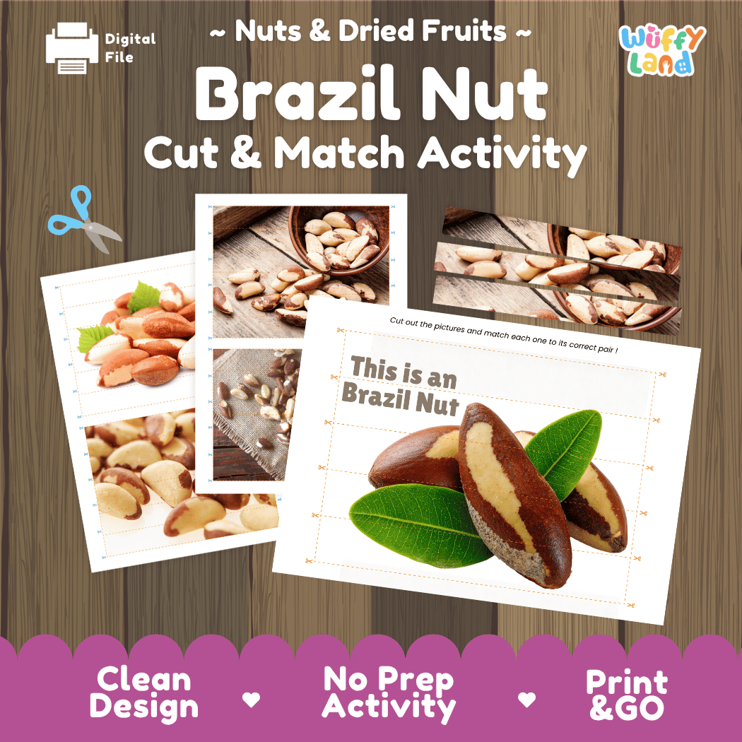 Brazil Nut Cut and Match Activity Worksheets | Nuts and Dried Fruits Puzzle Printables