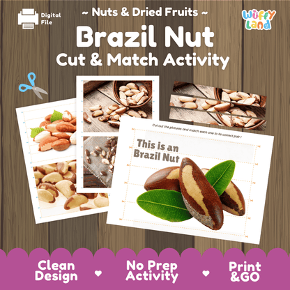 Brazil Nut Cut and Match Activity Worksheets | Nuts and Dried Fruits Puzzle Printables