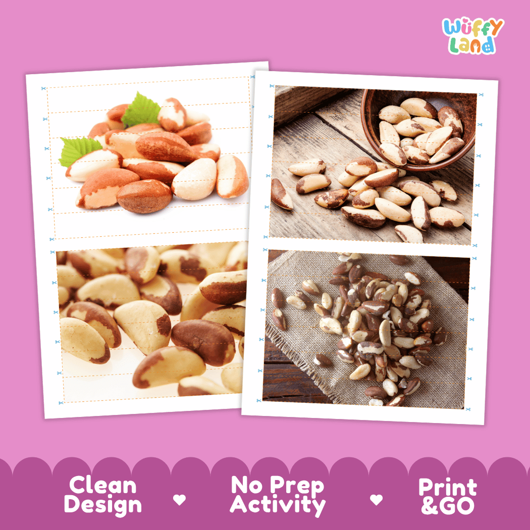Brazil Nut Cut and Match Activity Worksheets | Nuts and Dried Fruits Puzzle Printables